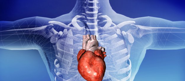 Cardiomiopatia aritmogena nei bambini: nuovo test anticipa la diagnosi di 5 anni