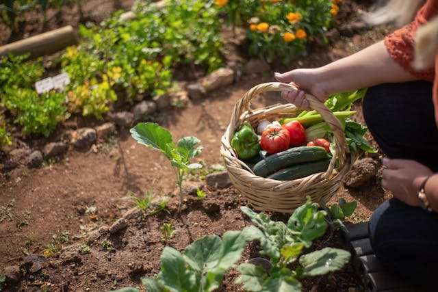 Nel 2075 saremo 10 miliardi: basterà il cibo per tutti?