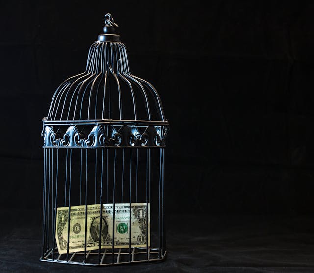 LA GUERRA DI TRUMP AL DOLLARO: CRONACA DI UN CROLLO ANNUNCIATO